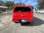 Thumbnail Photo 5 for 2014 Ford F150